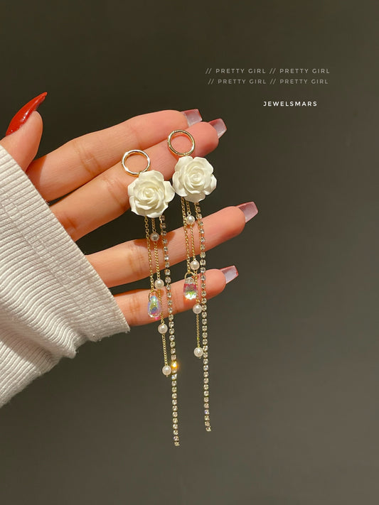 Dreamy Party Glam Earrings