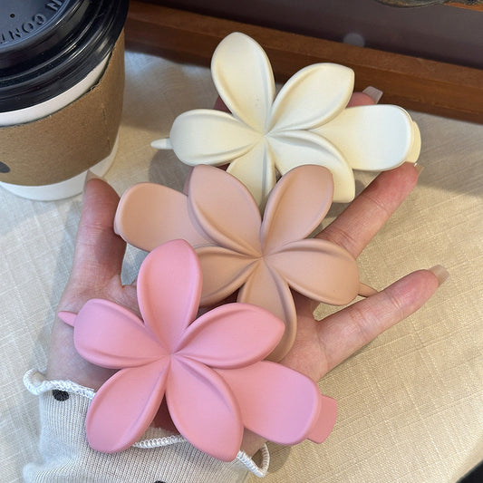 Springtime Pinteresty Hair Clip