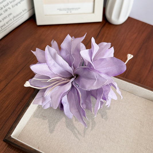 Whimsical Cottagecore Hair Clip
