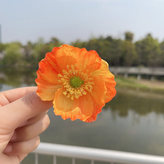 Tangerine Ombre Poppy Hair Clip