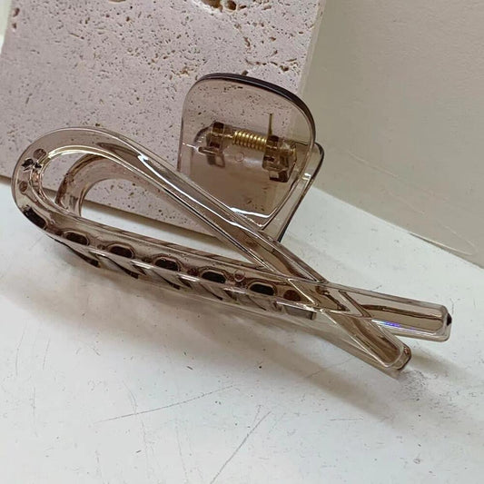 Pretty Neutrals Jelly Claw Clip